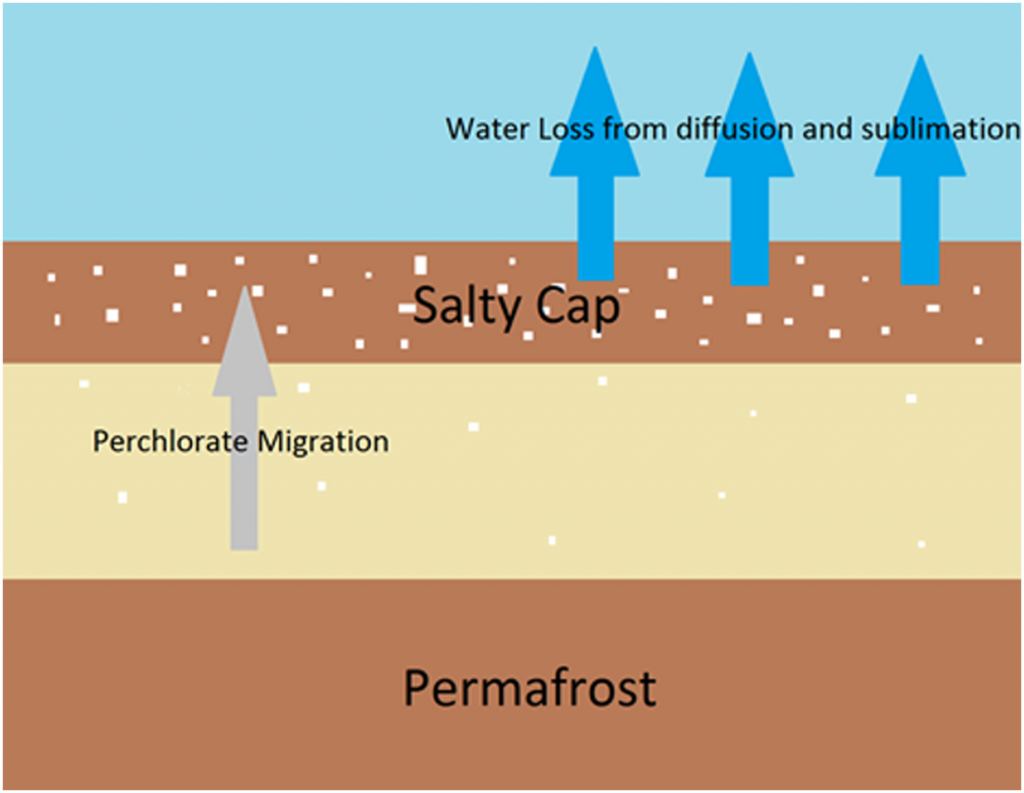 This figure from research published in 2024 illustrates how a salt cap could form and trap methane under the Martian surface. There's strong evidence of subsurface water on Mars, and it can migrate to the surface and evaporate. Some of the salt in the ground is transported to the surface with the water. Once the water or ice is gone, the salt is left behind in the upper few centimetres of soil. The researchers hypothesized that the salt can become cemented into the same type of duricrust that the InSight lander struggled with. Image Credit: Pavlov et al. 2024. 